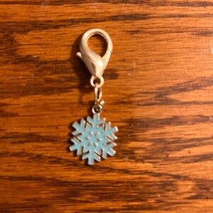 ❄️Snowflake pet collar charm